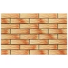 CERRAD Klinkerio plytelės ATAKAMA RUSTIK 9751, 24,5 x 6,5 cm