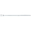 Forte_Tools Medraigčiai FORTE TOOLS, 6×180/72 mm, ZN, TX30, 50 vnt.