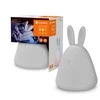 Osram Stalinis šviestuvas Ledvance NIGHTLUX RABBIT 4058075602113
