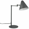 Pastatomos stalinės lempos Trio Cosima 563900142, E14, 10W