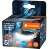 Ledvance ŽIBINTUVĖLIS GALV ĮKR 3W 300LM IP20