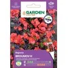 Garden Center begonijų BROUMOV H sėklos, 7 g