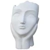 Garden Center Dekoratīvais puķu pods "Seja" LT34633, 27 cm x 21 cm x 34.5 cm, balta krās.