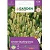 Garden Center Edfd0 triceno sėklos, 0,5 g