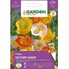 Garden Center granato „VICTORY GIANT“ sėklos, 0,5 g