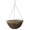 Garden Center Vazoninės gėlės pintos nhbn314 aukštis 35 cm