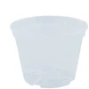 Domoletti Plastikinis vazonas su permatomomis orchidėjomis D25 H20CM