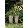 Gėlių vazonas Lamela Lilia 879-85, plastikinis, rudas