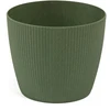 Lamela Gėlių vazonas Magnolija Jumper medis, 160x140 mm, žalias
