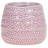 Pink Gėlių vazonas taškuotas rožinis d9