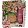 GIFT SET ROSE BAMASCENA 2PCS