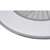 Lubinis šviestuvas Wentylator Domoletti CEILING FAN FROST DT1070-550. 96W. LED