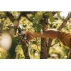 Sekatorius žalioms šakoms Fiskars P751, 25 cm