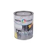 Pentacolor Matinis alkidinis gruntas PENTATIX 0,9 l