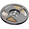 GTV Blykstės juostelė 3528, 300 LED šaltai baltos spalvos, 24W, be gelio, 8 mm, ritinys 5 m, 1
