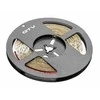 GTV Blykstės juosta 5050, 300 LED šiltai balta, 72W, be gelio, 10 mm, ritinėlis 5 m, 12 V
