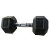 Hantele Outliner. 10 kg