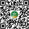 Hidrolāts Mėta Eco Pine, 1000 ml