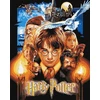 Ideyka TAPYBA PAGAL SKAIČIUS RINK HARRY POTTER