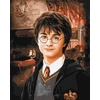 Ideyka TAPYBA PAGAL SKAIČIUS RINK HARRY POTTER