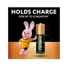 Įkraunami elementai DURACELL AA. 2500 mAh. 2 vnt.