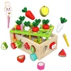 Polesie Nežinomas Edukacinis žaislas Carrot Harvest Orchard Car