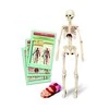 Edukacinis žaislas Clementoni The Human Body Mini-Set 50824