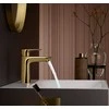 Hansgrohe Talis E 110 praustuvo maišytuvas, polished auksinis optic