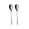 Domoletti HANGER 2 PCS COFFEE SPOON WIND