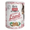 BRIT CARE Cat Superfruits Chicken skanėstai 100g