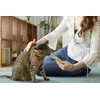 Inaba Churu Cat skanėstas Pops Tuna Chicken 60g