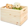 Domoletti WOODEN BOX40X30X23 314300