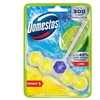 Pakabinamas tualeto muiliukas Domestos Power, 55 g