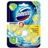 Pakabinamas tualeto muiliukas Domestos Power, 55 g