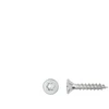 Forte_Tools Medsraigčiai FORTE TOOLS, 3×20 mm, ZN, TX10, 25 vnt.