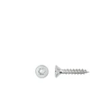 Forte_Tools Įrankiai FORTE TOOLS, 3×20 mm, ZN, TX10, 500 vnt.