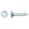 Forte_Tools Medraigčiai FORTE TOOLS, 3,5×16 mm, ZN, TX15, 500 vnt.