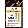 Forte Tools Forte_Tools Medsraigčiai 4,5 x 30 mm, ZN, TX20, 20 vnt.