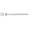 Forte_Tools Medraigčiai FORTE TOOLS, 6×80/48 mm, ZN, TX30, 100 vnt.