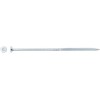 Forte_Tools Medraigčiai FORTE TOOLS, 6×160/72 mm, ZN, TX30, 50 vnt.