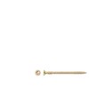 Forte Tools Forte_Tools Medsraigčiai 3,5 x 50 mm, ZN, TX15, 20 vnt.