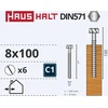Medvaržčiai Haushalt, DIN571, 8,0 x 100 mm, ZN, 6 vnt.