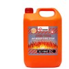 RP Wood Nuougnies medienos apsaugos priemonė, 5 l