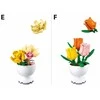 Konstruktorius Sluban Potted Plants M38-B1077, plastikas