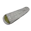 DAŽAI MOTIP 955310 SIDAB METALLIC 12ML