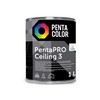 PENTACOLOR PENTAPRO LUBŲ DAŽAI BALT1L