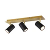 Lubinis šviestuvas Kryptinis šviestuvas TRIO MARLEY, 35 W, 3 × GU10