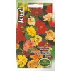 Kurzemes Seklas Sėklos ASTRA Jewel Seeds, 6 g