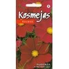 Kurzemes Seklas Kosmėjų sėklos 0.2g Rubenza