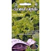 Kurzemes Seklas Sėklos, salotos Grand Rapids, 4 g, 4 m